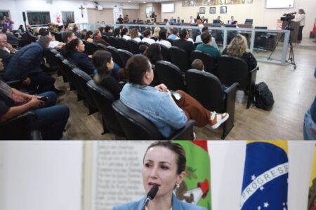 OAB Blumenau participa de audiência pública sobre segurança nas escolas