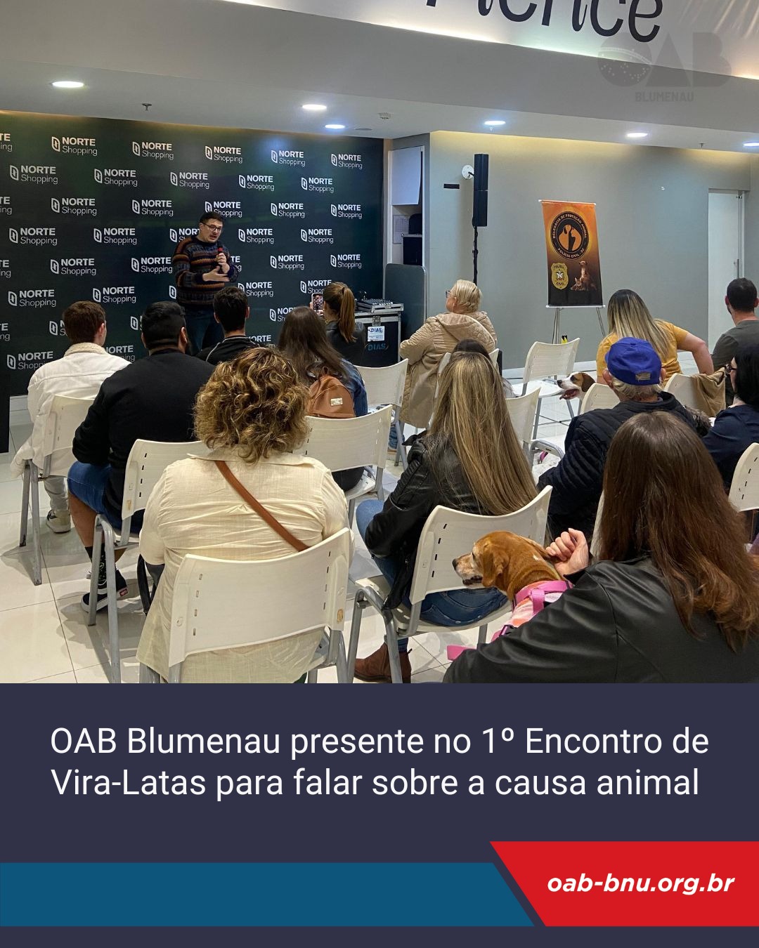 Comissão de Direito dos Animais participa do 1º Encontro de Vira-Latas em Blumenau Comissão de Direito dos Animais participa do 1º Encontro de Vira-Latas em Blumenau
